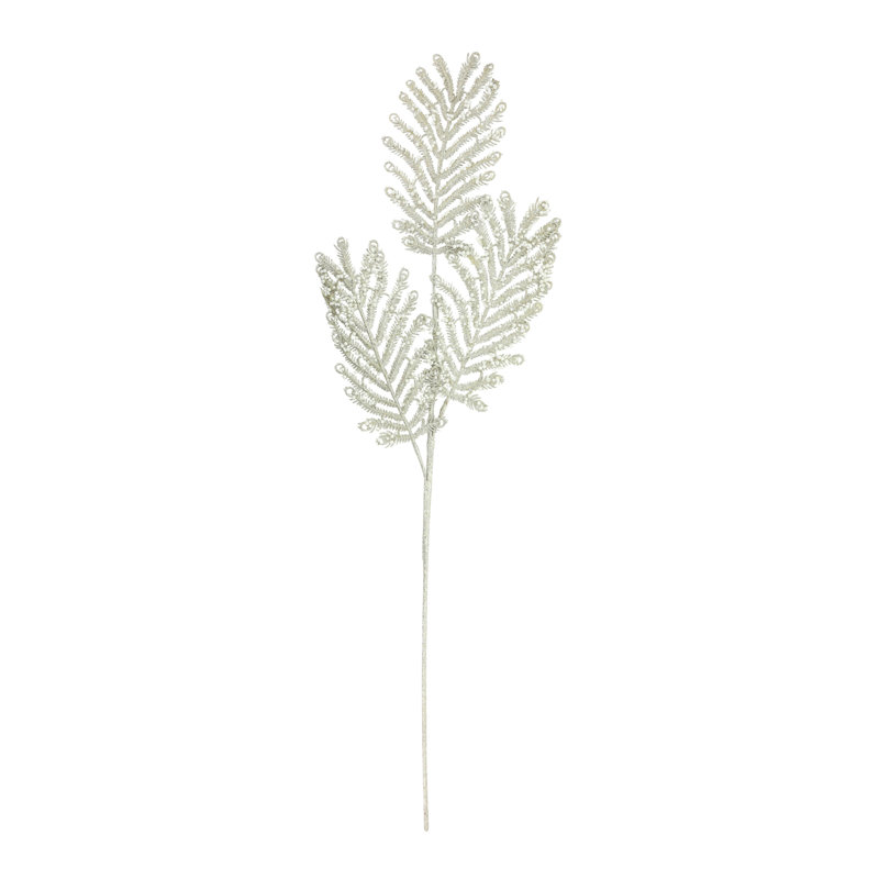 Silver Peacock Spruce