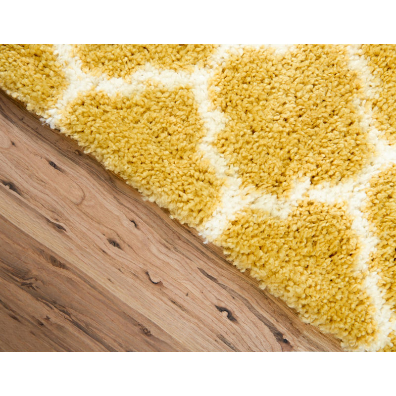 Burkart Shag Area Rug, Runner 79 x 183cm