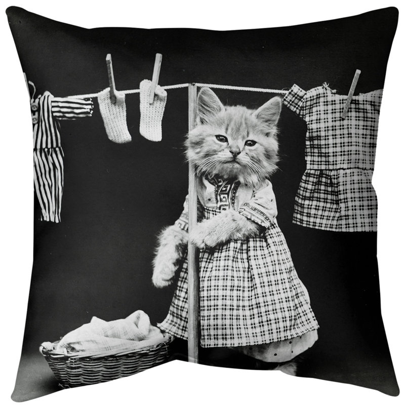 Coussin décoratif photo chat à lessive, 14 po x 14 po, Duvet synthétique