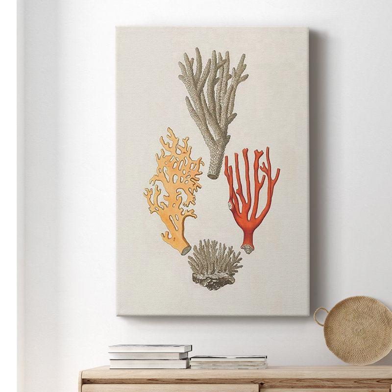 Knorr Shells & Coral IV sur impression sur toile, H 48 po x l 32 po x P 1 po