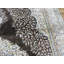 Tapis oriental brun en soie noué à la main 6 pi 6 po x 9 pi 5 po 8207264AEF244787891BFA7E02329C9E