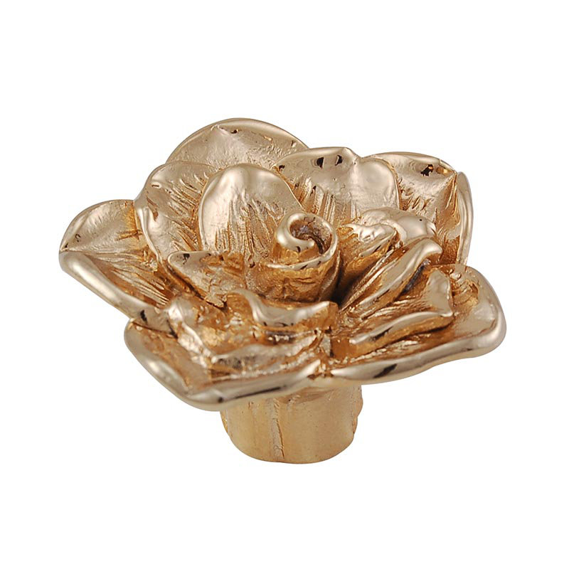 Carlotta Novelty Knob, Polished Gold