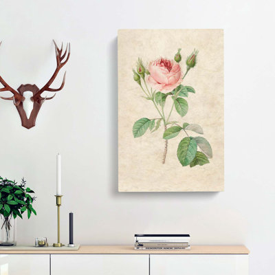 A Pink Rose by Pierre-Joseph Redoute - Wrapped Canvas Painting