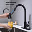 Robinet de cuisine avec douchette extractible