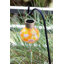 Nereus 5.5" Solar Powered Outdoor Hanging Light