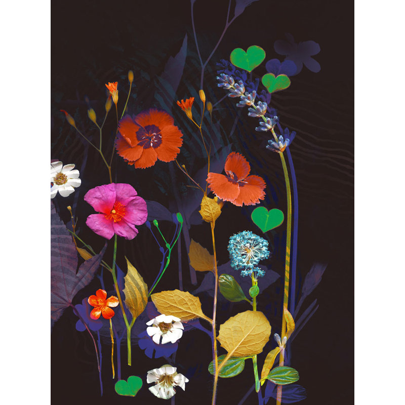 Wildflower Collection 3 Print by Katie Todaro, Gold Frame Paper