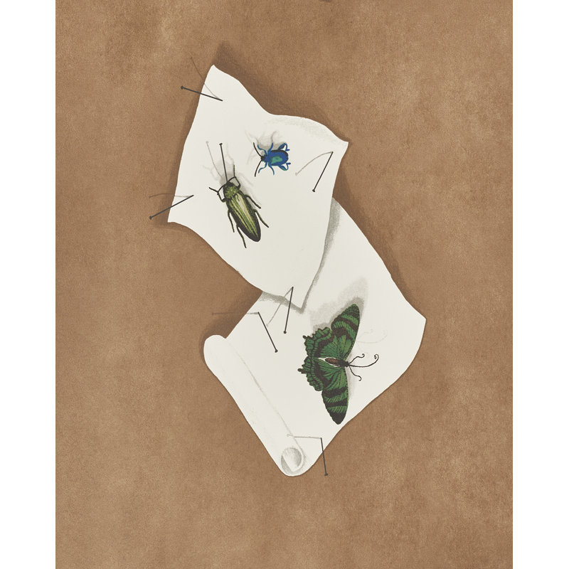 Papier peint Diana