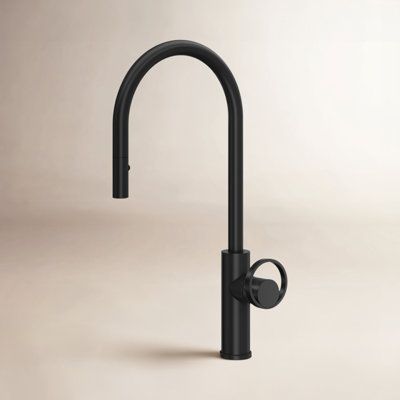 AllModern Linwood Pull Down Kitchen Faucet