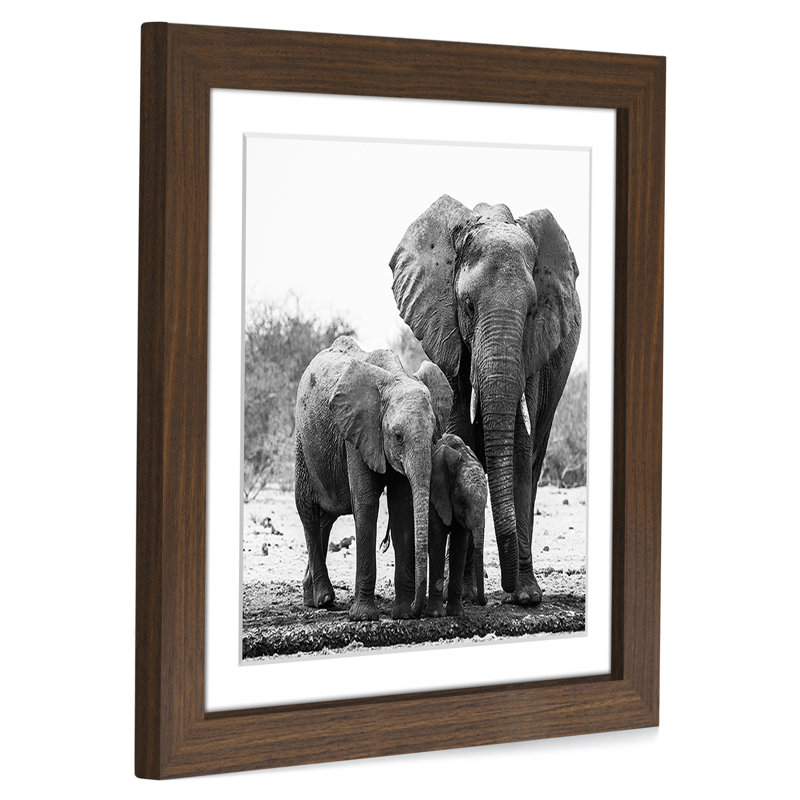 Cadre photo avec passe-partout Damaine - Bois d'ingénierie et verre incassable, Noyer, 11 po x 11 po