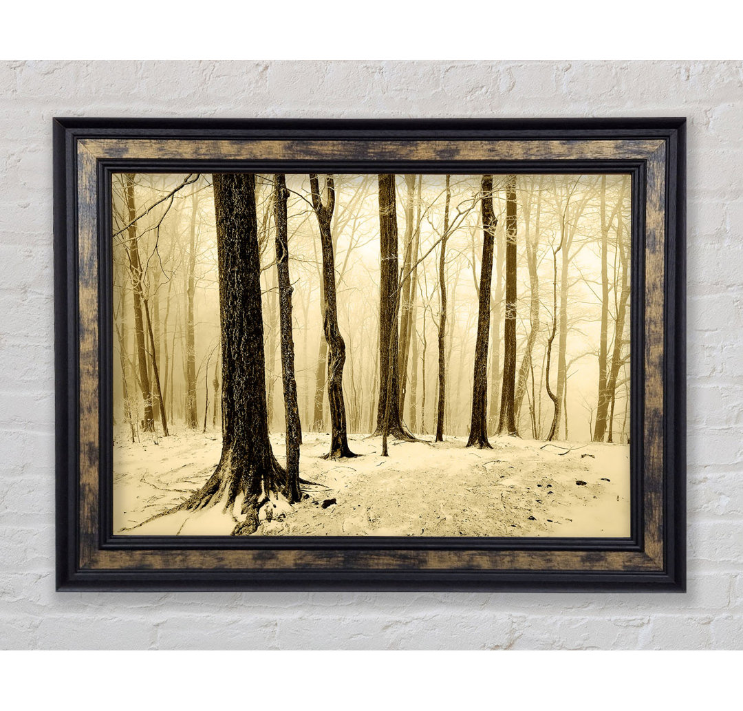 Winter Woodland Snow - Einzelner Bilderrahmen Kunstdrucke