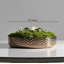 0'' Faux Fir Plant-1312159775