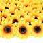 Panier à tournesol