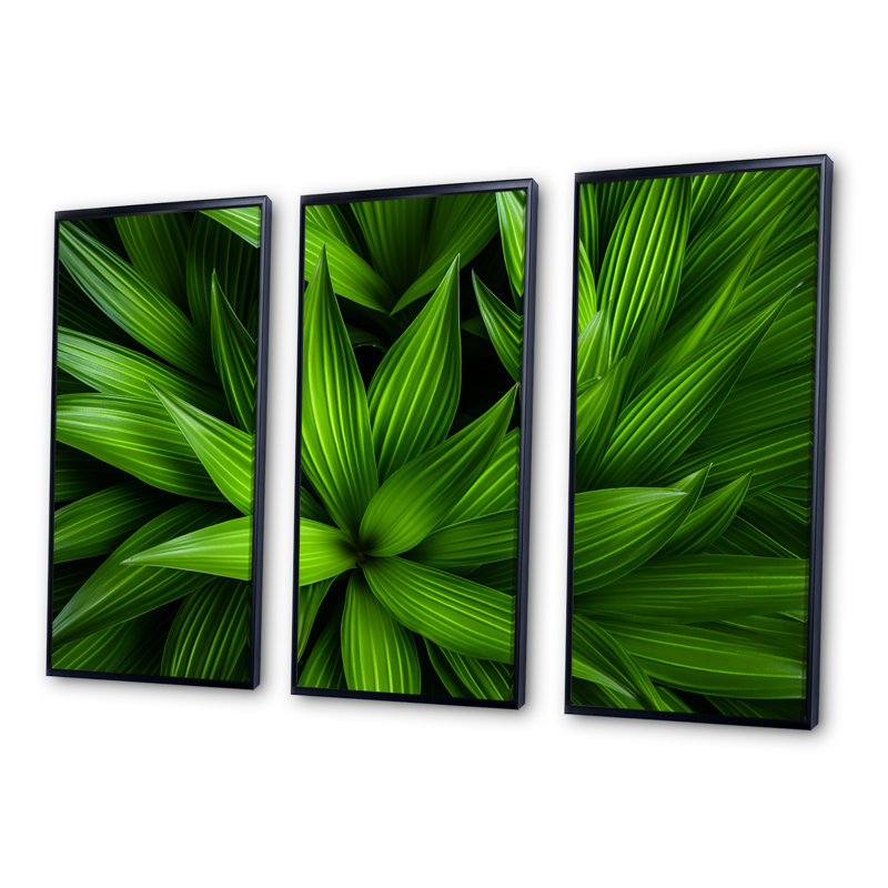 «Greenerys Gaze - Plants», ensemble d'art sur toile, Cadre flottant noir, H 28 po x l 36 po x P 1 po