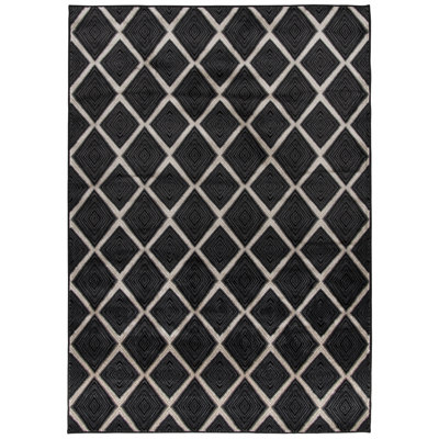 Caden Ebony Trellis Indoor Area Rug
