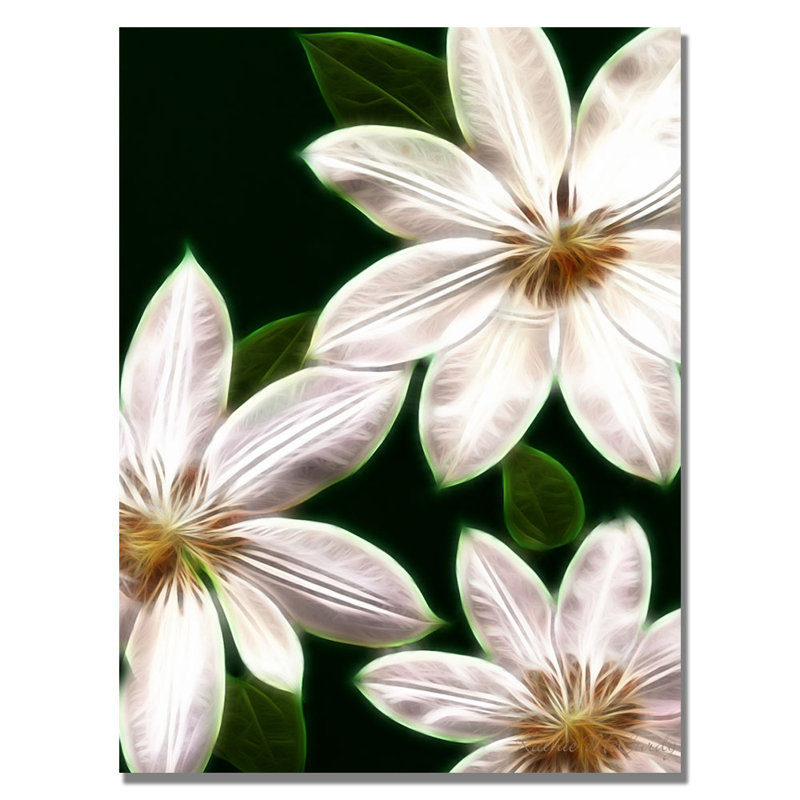 White Clematis Floral Canvas Art by Kathie McCurdy