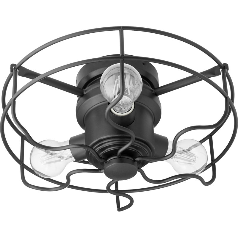 14'' 3 - Light Light Kit Ceiling Fan Light Kit, Noir
