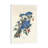 Blue Jay, 1831 by John Audubon - Print on Canvas-1175201695-1175201688