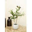 Olive artificielle 10 po en pot