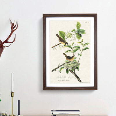Yellow-Breasted Warbler Birds by John James Audubon - Picture Frame Graphic Art Print