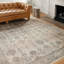 Claribel Oriental Indoor Rug-927488557