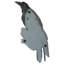 The Raven's Perch Wall Decor