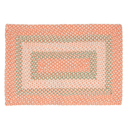 Waterbury Farmhouse Handmade Braided Coral Area Rug