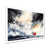 Picture Framed Print