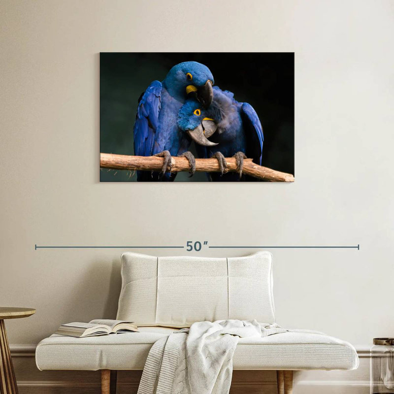 Hyacinth Blue Macaws, 24" H x 36" W