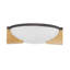 Hammonds 2 - Light Flush Mount