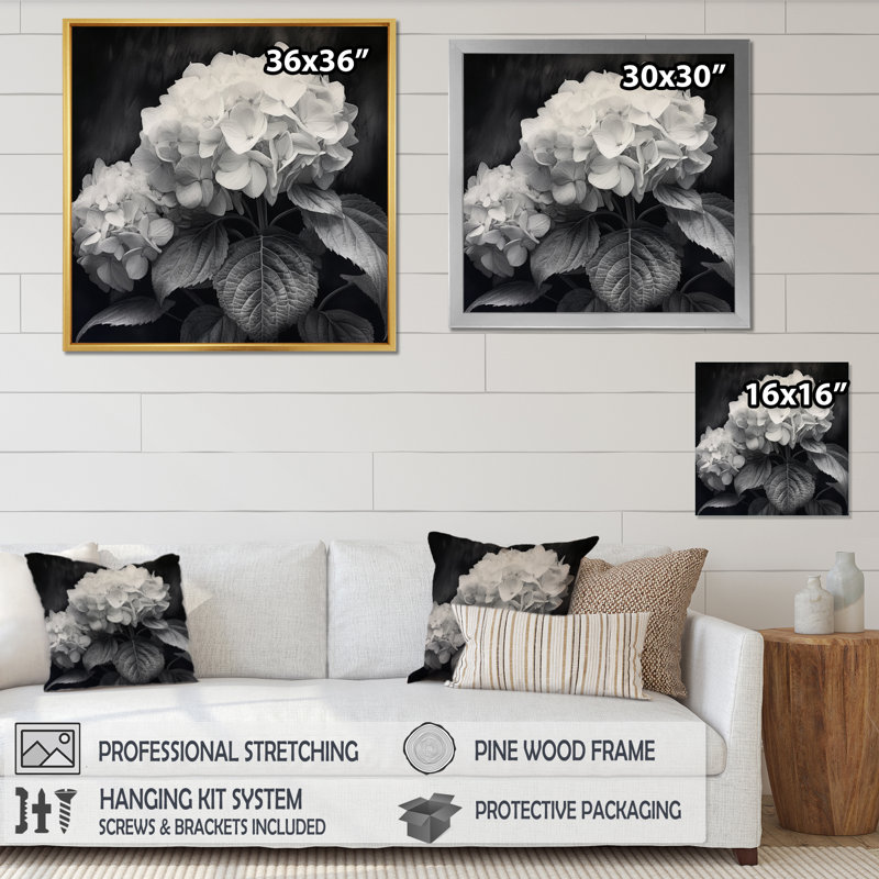 Hortensia gris et blanc II - imprimé, Cadre flottant noir, H 30 po x l 30 po x P 1,5 po