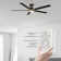60'' Ceiling Fan with Light and Remote
