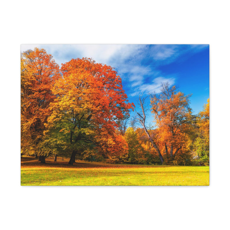 No Frame Print on Canvas, 60.96cm H x 76.2cm W