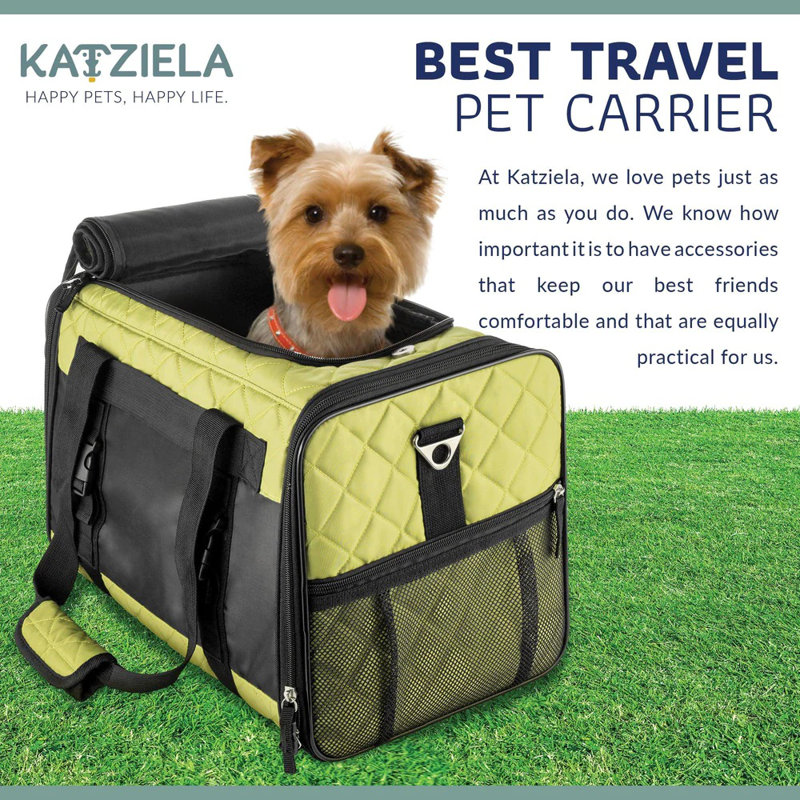 Sac de transport pour animaux Katziela, H 11 po x l 11 po x P 15 po, Vert olive