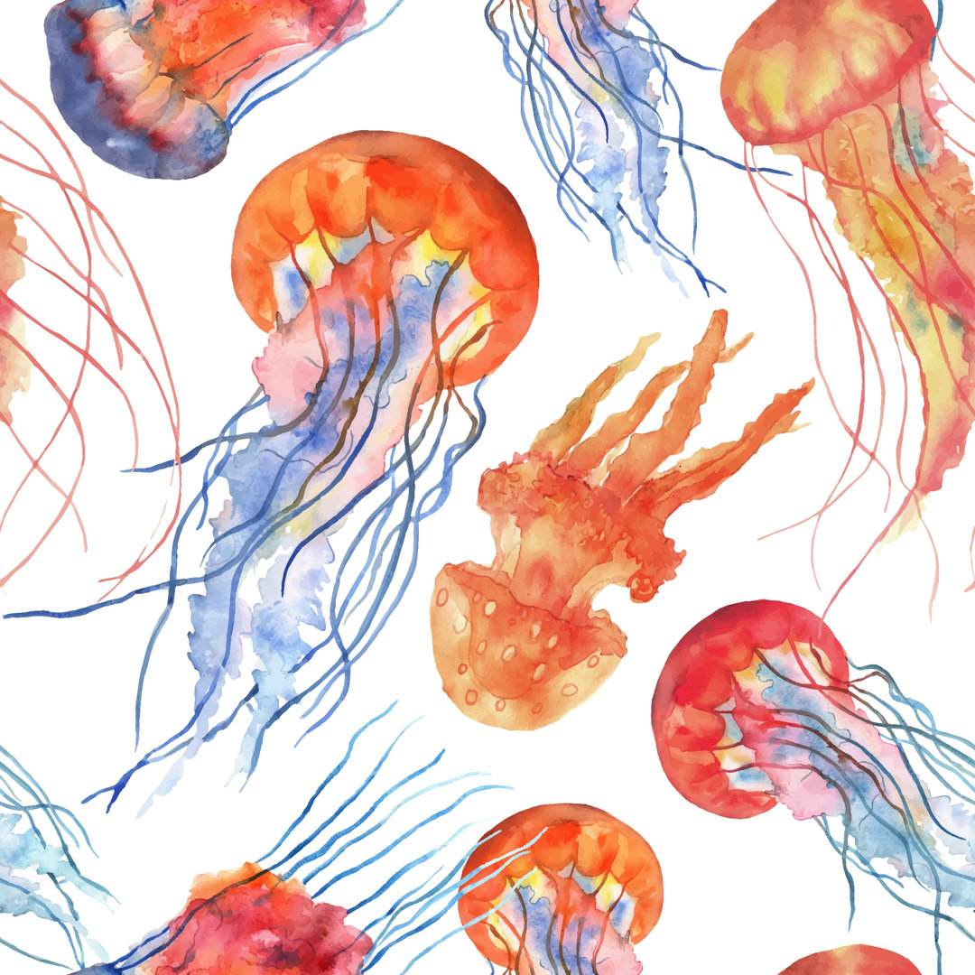 Jellyfish illustration- Leinwandbild