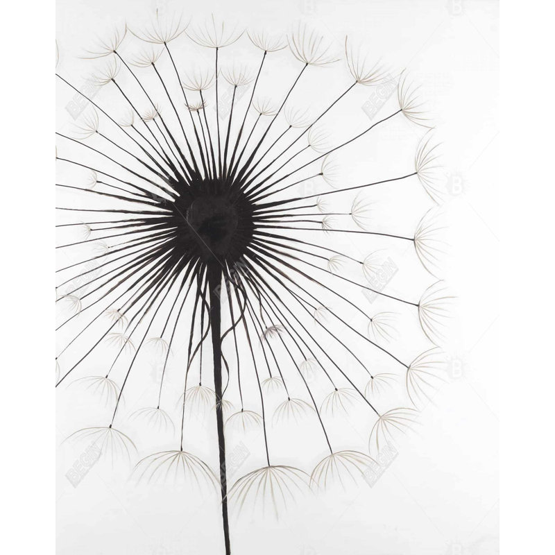 Dandelion Print On Canvas, H 60 po x l 40 po