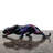 Animals Figurines & Sculptures