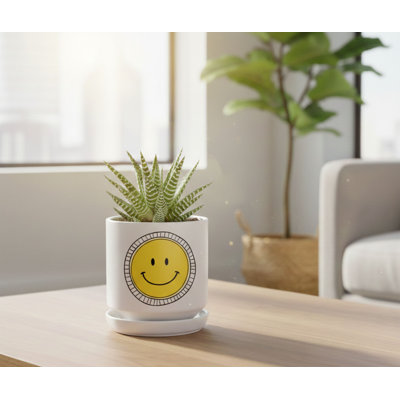 Pot à fleurs souriant