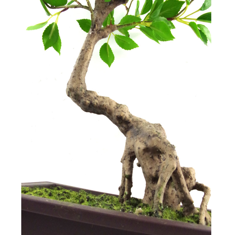 Anlin 50cm Faux Ficus Tree in Pot