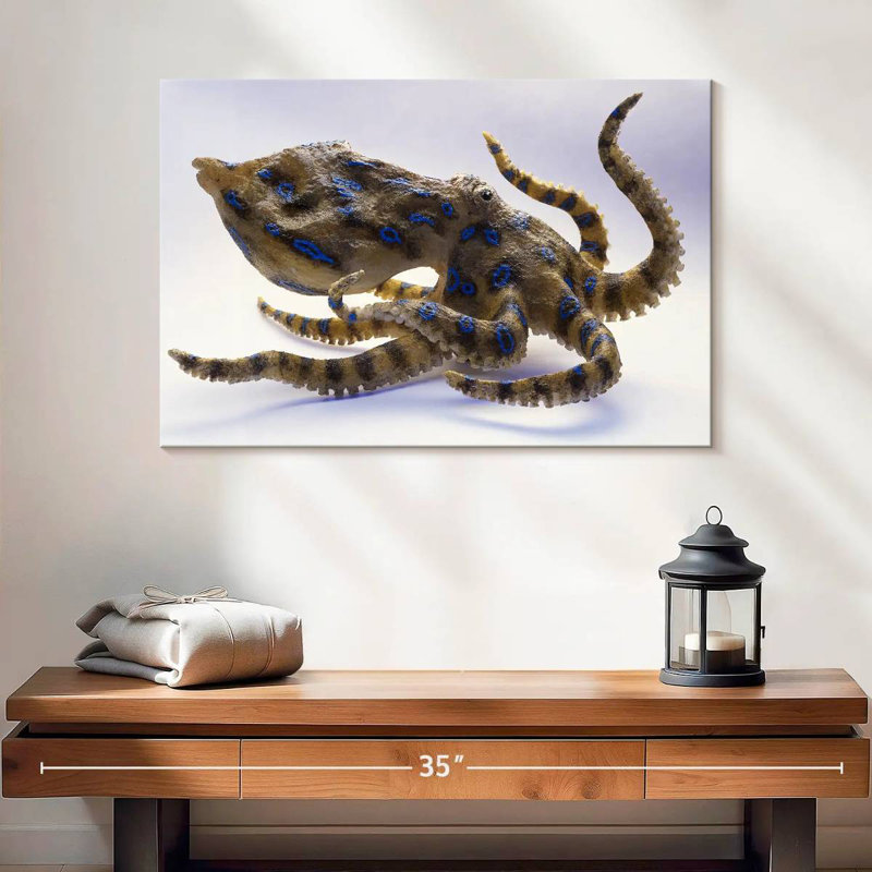 Model Of Blue Ringed Octopus, 32" H x 48" W