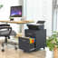 Rubianna 2 Drawer Filing Cabinet-650603683