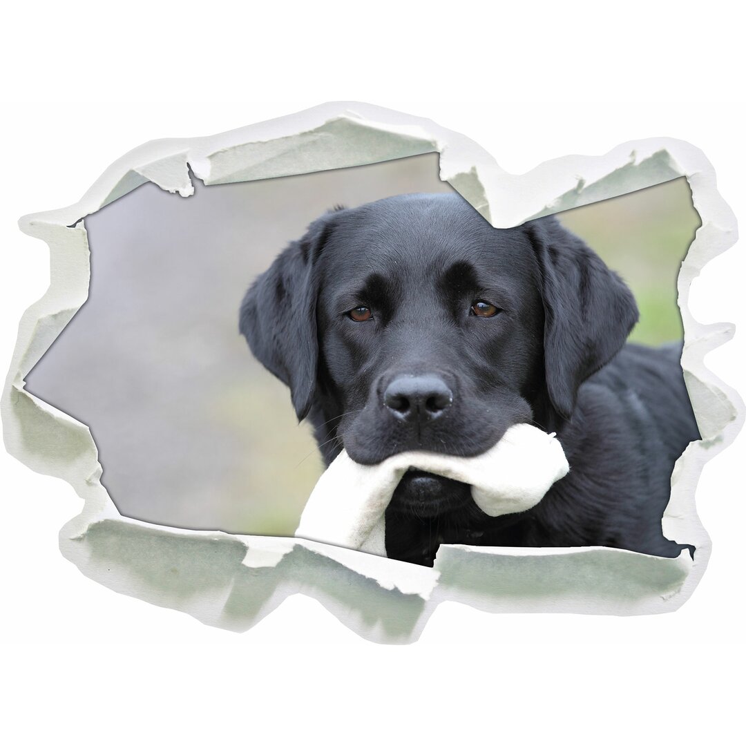 Wandtattoo Schwarzer Labrador mit Spielzeug