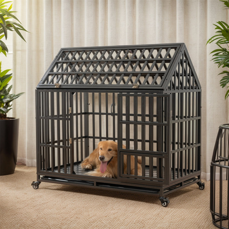 Chenil en métal robuste avec cage et cage avec 4 roues verrouillables