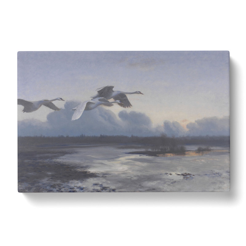CAN1902CAN Swans In Flight Vol.1 By Bruno Liljefors - Wrapped Canvas, 35cm H x 50cm W x 3cm D