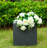 Wabbaseka Planter Box-1912528526-1998412719