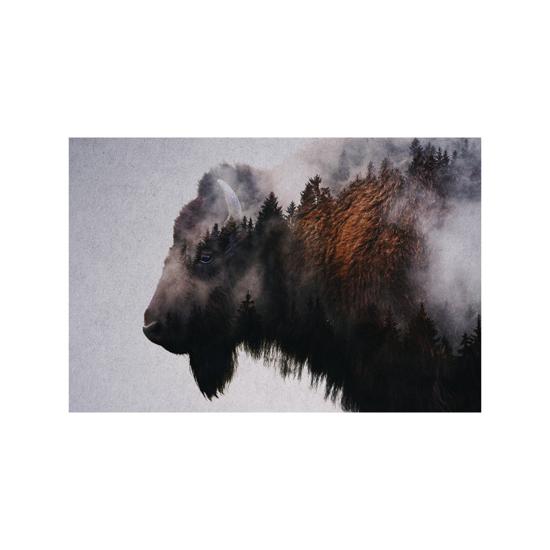 Bison - Print, 66.04 cm H x 45.72 cm W x 1.91 cm D, No Frame