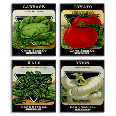 Vintage Garden Cabbage 4pc Framed Giclee Set, design by Lil' Rue