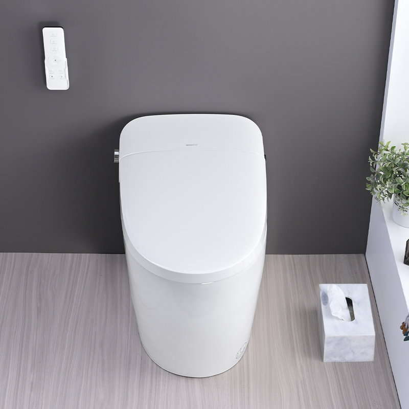 Smart Toilet With Night , Off Flush, Heated Seat. Ceramic, 19.18In High, 30.9In Package Depth Bidet, Seat, Female Wash, . 92.8Lb Heavy