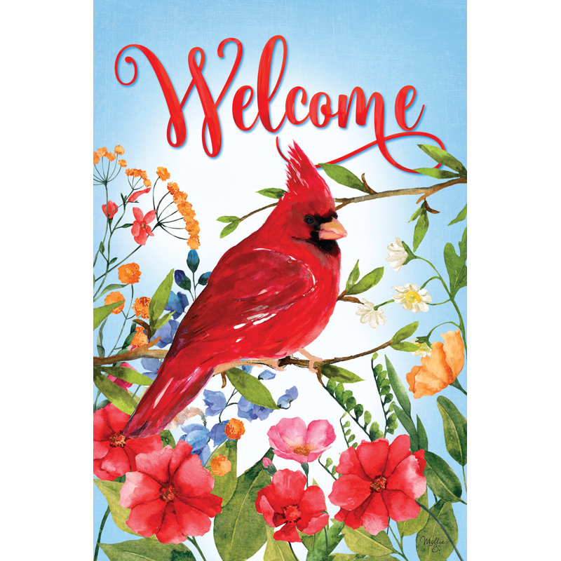 Fleurs de cardinal de bienvenue, Cadre flottant noir, Non, H 30 po x l 20 po