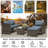 Casiyah 3 - Person Patio Conversation Set with Cushions-1964994419