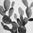 Grayscale Cactus Square Pillow Cover & Insert-74374970-74374971